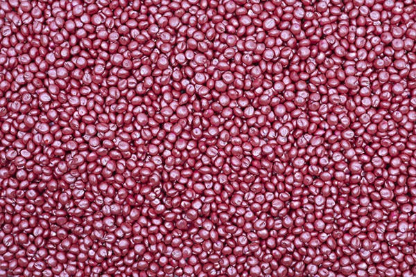 sorgo 2
