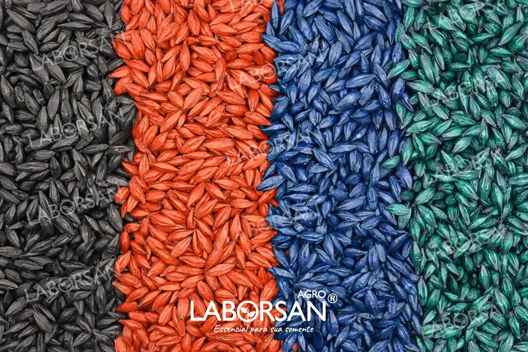 image_Sementes_de_cevada_coloridas_em_abundancia