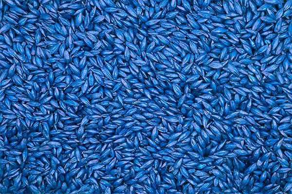 image_cevada_film_coating