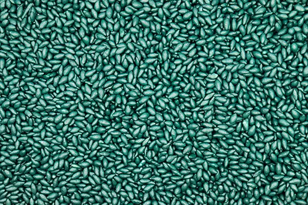 imagem_brachiaria_piata_verde