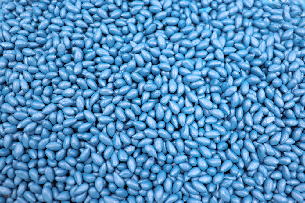 Plantação de algodão colorido