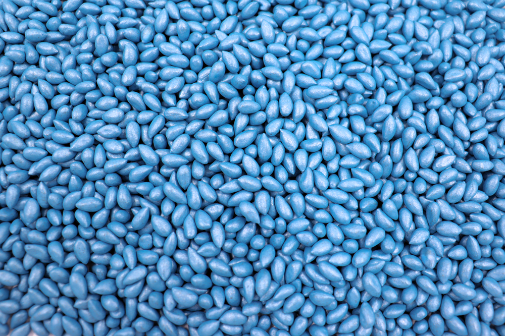 Plantio de algodão no Brasil