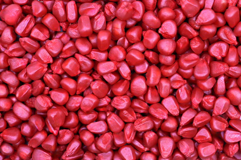 plantabilidade de milho Laborsan Agro