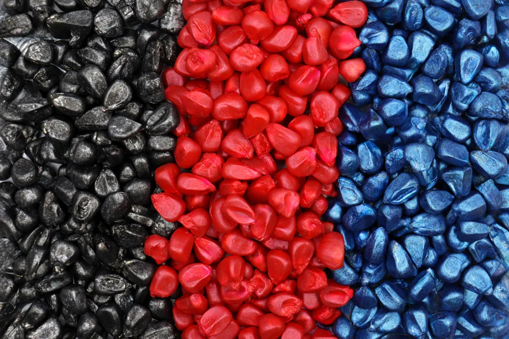 Plantação de milho branco