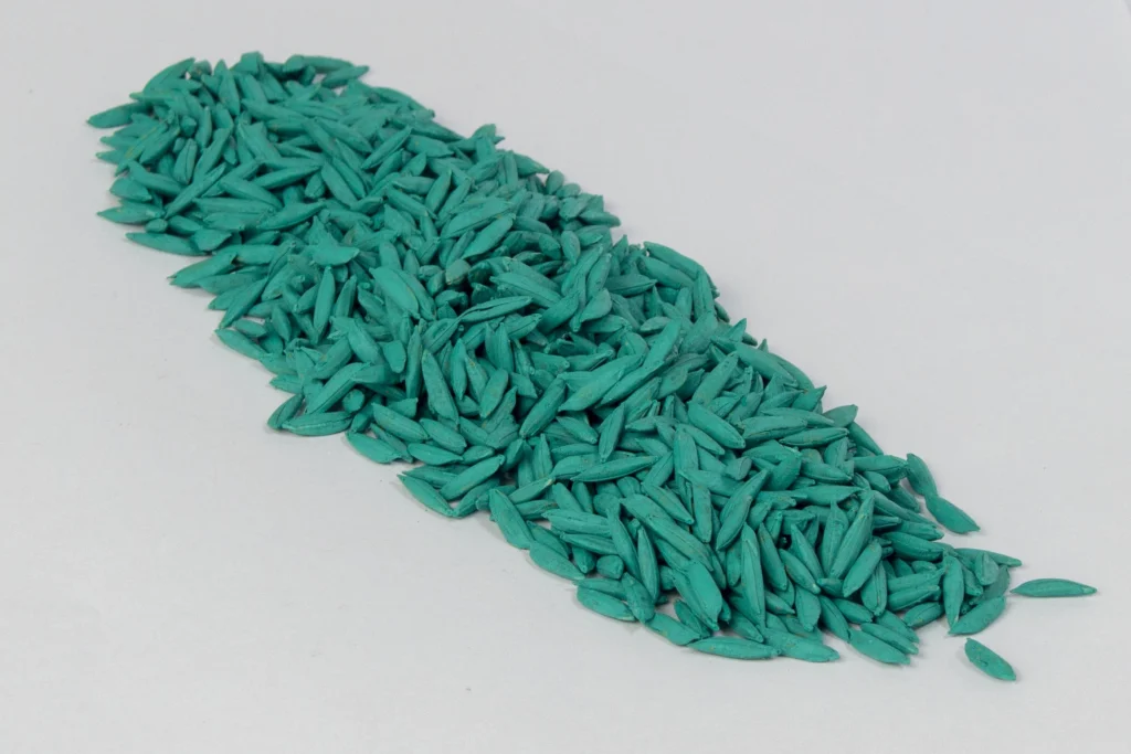 plantação de arroz na água