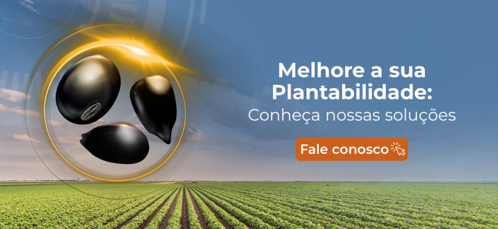 plantio de milho