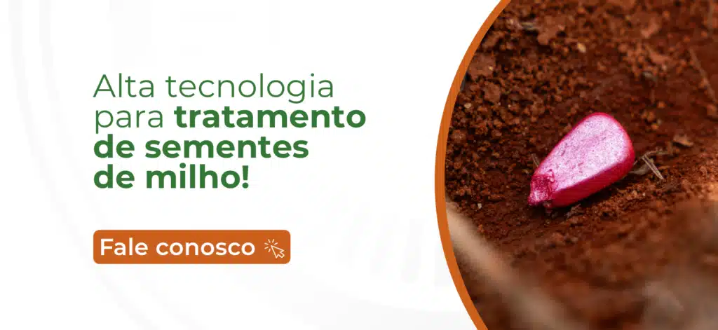 tempo de cultivo do milho